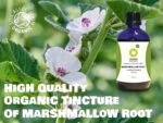 Organic Herbal Remedies Marshmallow Root Tincture, 100 ml - Image 5