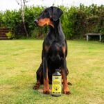 Liver Love Supplement 250ml - Vet Approved, Fast Acting - Supports Liver Function, Antioxidant, Immune System Heath, Natural Liver Detox Supplement - Image 3
