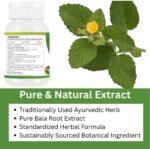 Bala (SIDA cordifolia) Capsule | Pack of 60 x 500 MG. Vegetarian Capsules | Natural Herbal Supplement | GMP Certified | Gluten Free (Pack of 2) - Image 5