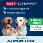 STRELLALAB Dog Probiotics for Gut Health & Digestive Enzymes Fiber Supplement - Anti Diarrhea, Constipation, Upset Stomach, Gas Relief - Digestion Treats Chews - 60 Count (Pack of 1) BBQ - Image 6