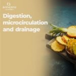 Bandini® Bromelain High Strength Draining 5000 GDU/g per Serving | 200 Gastro-Resistant Tablets | Digestive Enzyme | Pure Pineapple Extract for Inflammation, Swelling & Digestion | No Additives, Vegan - Image 3
