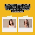 Fighter Shots Ginger Marine Collagen Shots (12x60ml) | Healthier Skin and Hair | 100% Natural | Perfect Morning/Post Workout Pick Me Up | No Preservatives | Fresh & Fiery Ginger Shots - Image 7