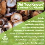 Organic Shiitake Mushroom Powder 10X Strength - Supplement for Sport Recovery, Immune, Bone & Heart Health - Beta Glucans & Vitamin D | HIGH Potency 10:1 Extract - 56 Servings (56g) - Image 7