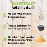 Organic Shiitake Mushroom Powder 10X Strength - Supplement for Sport Recovery, Immune, Bone & Heart Health - Beta Glucans & Vitamin D | HIGH Potency 10:1 Extract - 56 Servings (56g) - Image 9