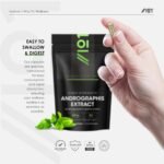 Andrographis Extract 500mg – High Strength Andrographis Paniculata Extract Equivalent to 5,000mg – 90 Vegan Capsules (3 Months Supply) – by Alpha01 - Image 6