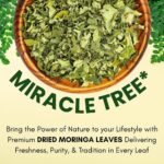Moringa Dried Leaves Tea – 100% Natural Herbal Loose Leaf – Energy, Detox & Wellness Support – 100% Natural Herbal Loose Leaf Superfood - Image 3