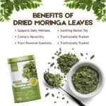 Moringa Dried Leaves Tea – 100% Natural Herbal Loose Leaf – Energy, Detox & Wellness Support – 100% Natural Herbal Loose Leaf Superfood - Image 5