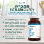 Nutra B50 Complex High Strength | Vegan 30 Tablets| Multivitamin Tablets - Folic Acid, Vitamin B, Vitamin C| Reduce Tiredness & Fatigue Whilst Supporting Your Immunce System - by NutraVit - Image 3