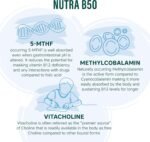 Nutra B50 Complex High Strength | Vegan 30 Tablets| Multivitamin Tablets - Folic Acid, Vitamin B, Vitamin C| Reduce Tiredness & Fatigue Whilst Supporting Your Immunce System - by NutraVit - Image 5