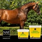 NAF Vitamin E and Selenium 2.5kg – Antioxidant Supplement for Horses – Supports Muscle Health, Recovery & Immune Function – Ideal for Horses in Work or Low Grazing Conditions - Image 4