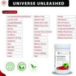 Universe Unleashed 300g Powder | Organic Superfoods & Bio Active Enzyme Combination, Complete Vegan Immune Boosting & Body Alkalising Nourishment Complex Absolute Detoxification - Image 7