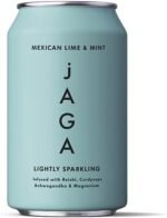 jAGA Lighty Sparkling Mushroom Drinks 8 x 330ml (Mexican Lime & Mint (Single can)) - Image 3