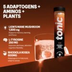 Tonic Health Focus + Mind Tablets - Lion’s Mane, L-Tyrosine and B3, Rhodiola Rosea for Mental Clarity, No Sugar Effervescent Tablets (20 Count (Pack of 1), Peach) - Image 3
