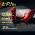 Night Powder Natural Sleep Aid with Magnesium 200mg, Tart Cherry, Saffron Extract, 28 Servings - Image 3