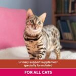 YuMOVE Urinary Care Supplements for Adult Cats, Urinary and Bladder Support with Natural Ingredients, 30 Sprinkle Capsules - Image 4