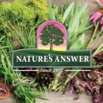 Nature's Answer, Liquid Cranberry Extract, Alcohol Free, Vegan Drops, 30ml, Gluten Free, Soy Free, Vegetarian, Non-GMO - Image 4