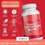 Grounded High Strength 4000mg Ceylon Cinnamon | 120 Micro Tablets, 4 Month Supply | True Cinnamon (Cinnamomum Verum) | Natural Antioxidant Support | Vegan-Friendly & Made in The UK - Image 3