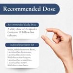 Purer Mama Protect – 19 Billion Probiotic + Prebiotic Capsules – Gut, Immunity & Mood Support – Inulin for Microbiome Balance – 60 Vegan Capsules - Image 5