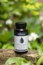 Purer Mama Protect – 19 Billion Probiotic + Prebiotic Capsules – Gut, Immunity & Mood Support – Inulin for Microbiome Balance – 60 Vegan Capsules - Image 6