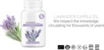Bobica Organic Lavender Capsules, 250 mg, 90 Vcaps, GMO Free, Gluten Free, Soy Free, for Vegetarians & Vegans - Image 5