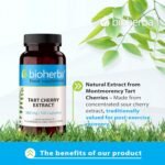 Montmorency Tart Cherry Extract 380 mg – 100 Capsules | Natural Supplement for Recovery and Active Lifestyle Support - Image 3