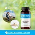 Montmorency Tart Cherry Extract 380 mg – 100 Capsules | Natural Supplement for Recovery and Active Lifestyle Support - Image 7