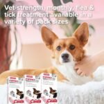 Beaphar - FIPROtec® COMBO for Small Dogs (2–10kg) - 6 pipettes - Kills Fleas, Flea Eggs, Flea Larvae & Ticks - Stops Fleas Multiplying on Pet and in Home - Vet Strength Dog Flea Treatment - Image 6