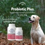Dorwest Herbs Probiotic Plus for Dogs 200 Capsules, Pre, Pro and Postbiotic with Daily Microbiome Support for Optimal Gut Health - Image 3