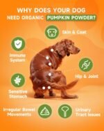 Pumpkin Powder for Dogs - Pumpkin for Dogs with Probiotics, Apple, Cranberry - Rich in Fibre for Gut Health, Digestion, Healthy Stool - Also Support Urinary Tract, Skin, Coat - Chicken Flavor - Image 3