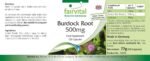 Fairvital | Burdock Root Capsules - 500mg - HIGH Dosage - Vegan - 120 Capsules - with zinc - Image 4