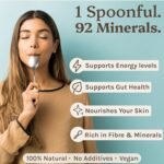 Sea Moss Gel 350ml - 100% Wildcrafted Jamaican SeaMoss | Rich in 92 Essential Minerals & Vitamins | Supports Immunity, Skin & Gut Health | Vegan & Gluten-Free Superfood | Dr Sebi Inspired Irish Moss - Image 3