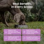 Dog Calming Supplements, Probiotics & L- tryphtophan Powder for Anxious Dog, Stress and Anxiety for Dogs Support, Fireworks, Car Travel, Long Term Relaxation Treatment - Beef Flavour, 100g - Image 4