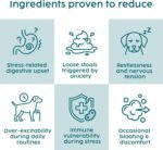 Dog Calming Supplements, Probiotics & L- tryphtophan Powder for Anxious Dog, Stress and Anxiety for Dogs Support, Fireworks, Car Travel, Long Term Relaxation Treatment - Beef Flavour, 100g - Image 5