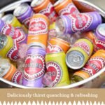 Rubro - Peach Rooibos - 6 Can Multipack - 300ml - Still, Soft Drink - Peach Tea Drink - Natural Flavours - Caffeine Free - Bulk Soft Drinks - Image 4