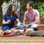 Rubro - Peach Rooibos - 6 Can Multipack - 300ml - Still, Soft Drink - Peach Tea Drink - Natural Flavours - Caffeine Free - Bulk Soft Drinks - Image 6