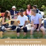 Rubro - Peach Rooibos - 6 Can Multipack - 300ml - Still, Soft Drink - Peach Tea Drink - Natural Flavours - Caffeine Free - Bulk Soft Drinks - Image 7