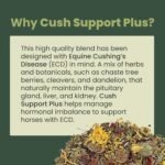 Cush Support Plus 1kg | Cushing Support for Horses with Equine Cushing Disease, 100% Natural Feed Supplement for Horses & Ponies, Equine Care - Image 3