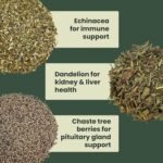 Cush Support Plus 1kg | Cushing Support for Horses with Equine Cushing Disease, 100% Natural Feed Supplement for Horses & Ponies, Equine Care - Image 4