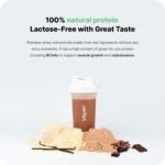 Vilgain Lactose Free Whey Protein - 1000 g - 75% Protein, Lactose Free, sweetened with stevia, Ultra-Filtered at Low temperatures (1000g, Salted Caramel) - Image 4