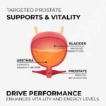 BioProstate – Advanced Prostate Support & Testosterone Level Support | Pumpkin Seed, Maca Root, Nettle Leaf, Zinc, Vitamin B6 & Cranberry Extract | 100% Natural | 60 Tablets- GMP-Certified Facility - Image 5