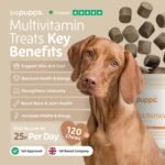 Pupps 8-1 Dog Multivitamin Chews | 120x Dog Vitamins And Supplements For Older Dogs, Adults & Puppies | Comprehensive Health Boost, Supports Skin, Coat, Hip & Joint, Weight, Growth, Immunity Wellness - Image 4