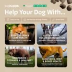 Pupps 8-1 Dog Multivitamin Chews | 120x Dog Vitamins And Supplements For Older Dogs, Adults & Puppies | Comprehensive Health Boost, Supports Skin, Coat, Hip & Joint, Weight, Growth, Immunity Wellness - Image 5