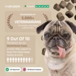 Pupps 8-1 Dog Multivitamin Chews | 120x Dog Vitamins And Supplements For Older Dogs, Adults & Puppies | Comprehensive Health Boost, Supports Skin, Coat, Hip & Joint, Weight, Growth, Immunity Wellness - Image 7