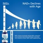 NAD+ Supplement, High Absorption, Superior Formula for Cellular Health and Metabolic Support, Effectively Supports Healthy Aging, 120 Capsules, V2 - Image 3