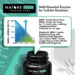 NAD+ Booster - NR - 300mg Nicotinamide Riboside - 60 Vegan Capsules - Supports Healthy Aging - by Nature Diet - Image 4