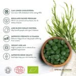 1KG (2x500g) Organic SPIRULINA Tablets [2000 x 500mg] Natural Dietary Food Supplement, Premium Quality, Non-GMO Vegan Detox Superfood Rich in Protein, Vitamins, Amino Acids, Iron - Soil Association - Image 6