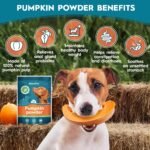 AmeizPet Pumpkin Powder For Dogs, To Create Pumpkin Puree, Fibre For Dogs Firm Stool, 100% Pumpkins Pulp Powder For Good Bowel Activity For Dog, Canned Pumpkins Alternative, 200g (7 Oz.) - Image 3