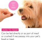 Probiotics For Dogs - Yeast Balance 120 Tablets - Diarrhoea Bad Breath Itchy Skin & Yeast Infection Treatment - Digestive Enzymes for Sensitive Digestion - Canine Prebiotic Dietary Supplement - Image 5