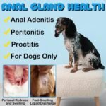 Anal Gland Soft Chew Treats with Pumpkin for Dogs，150 Count Digestive Enzymes, Probiotics Fiber Supplement for Dogs - Image 4