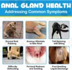 Anal Gland Soft Chew Treats with Pumpkin for Dogs，150 Count Digestive Enzymes, Probiotics Fiber Supplement for Dogs - Image 6